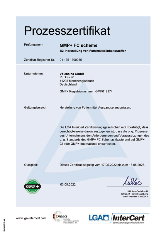 PDF Datei GMP Mönchengladbach